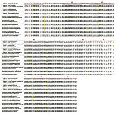 Development of a Visible Reverse Transcription-Loop-Mediated Isothermal Amplification Assay for the Detection of Rift Valley Fever Virus